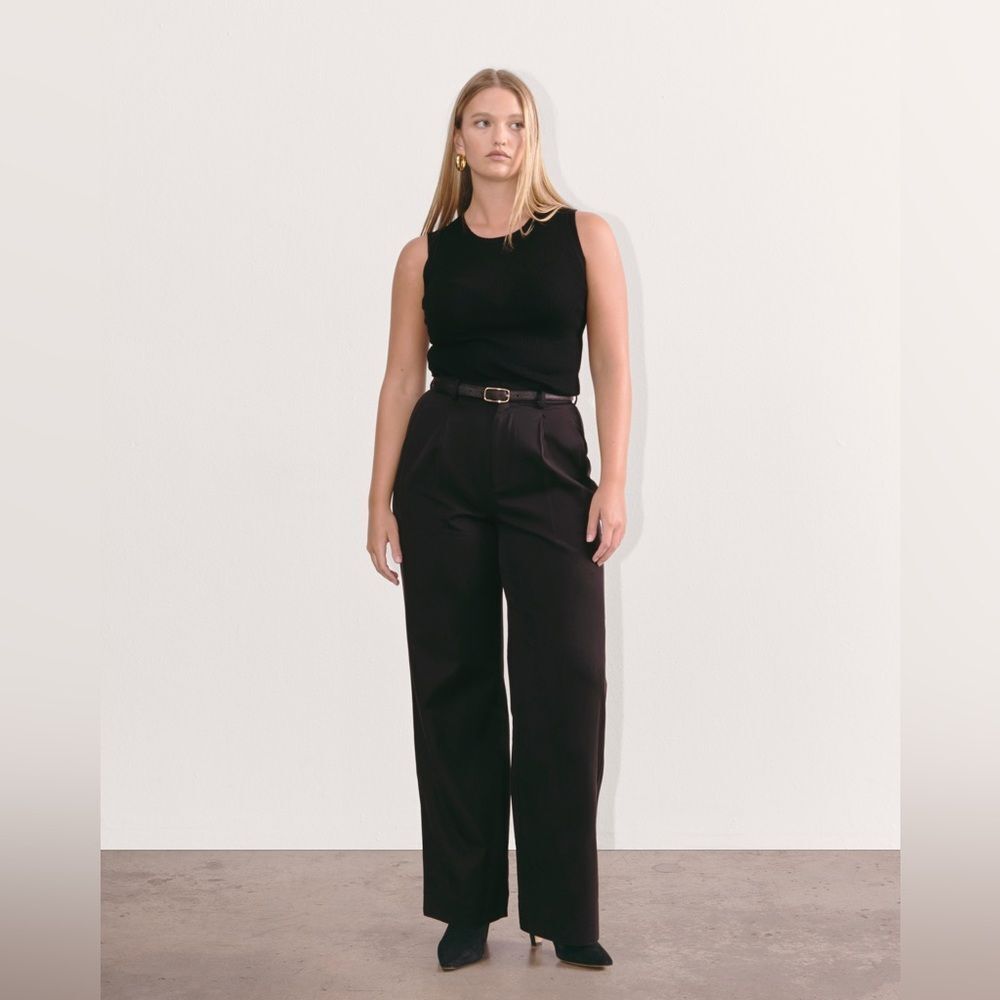 NWOT Everlane The Draper Pleated Pant in Buttersmooth Black Size 4S